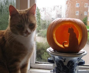 Halloween pets - readers' pictures | Life and style | The Guardian