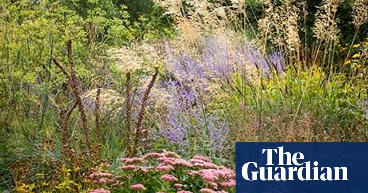 Gardens: prairie garden | Gardens | The Guardian