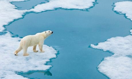 A polar bear approaches the Arctic Ocean's edge