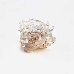 Hermit shells: Honfleur