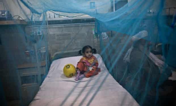 A child suffering from the mosquito-borne disease dengue fever, rests in a bed covered with a net at an isolation ward of a hospital in Rawalpindi, Pakistan. 