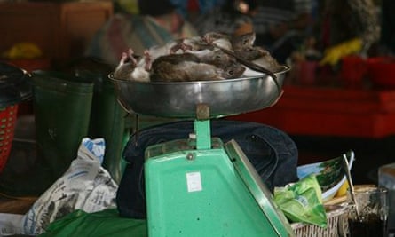 Rats for sale in the Cao Lanh Market