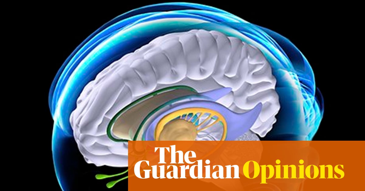 Neglecting Neuroscience Has Criminal >> Can Defendants Really Blame Damage To Their Brains For Criminal Acts Neglecting Neuroscience Has Criminal >> Can Defendants Really Blame Damage To Their Brains For Criminal Acts