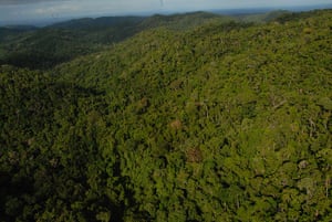 Nature reserves: Rainforests of the Atsinanana World Heritage Site, Madagascar