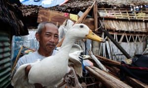 Typhoon survivor Dominador Artoge proudly holds his duck which he rescued as it swam ashore following the storm that devastated Tacloban city in the Philippines. Artoge's family named the duck 'Landa' (for Yolanda), the local name for the typhoon.