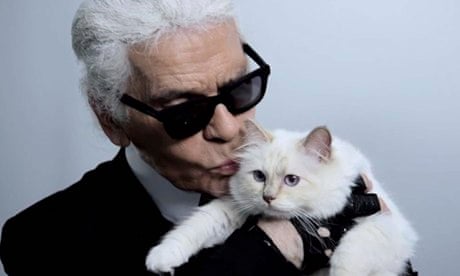 petticoat Zoek machine optimalisatie Winkelcentrum Karl Lagerfeld's cat Choupette isn't a party animal | Karl Lagerfeld | The  Guardian