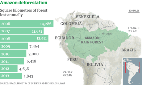 Amazon Deforestation Increased By One Third In Past Year Amazon Rainforest The Guardian Amazon Deforestation Increased By One Third In Past Year Amazon Rainforest The Guardian