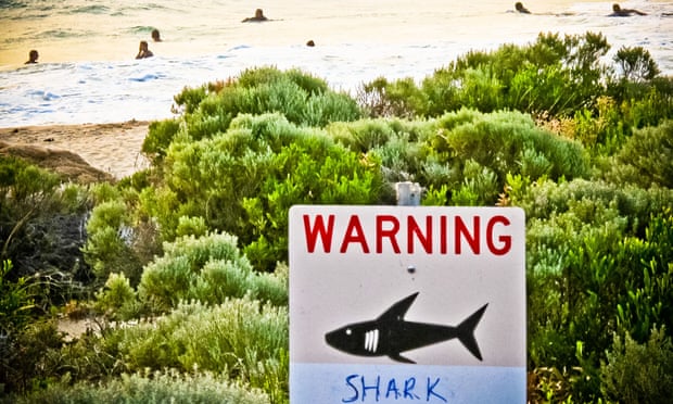 A shark sighting sign near Prevelly Beach, Western Australia.
