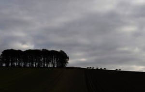 Horses make their way back down the gallops at Seven Barrows Stables in Lambourn, Berkshire.