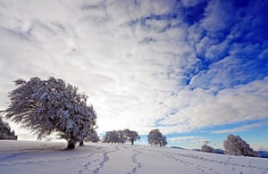 Trees are coverd with snow and ice at the Schauinsland Mountain in Schauinsland, Germany.