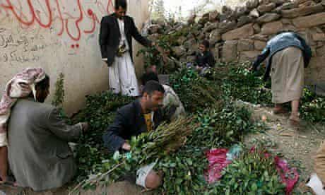 Vendors prepare to sell qat at a market in the Yemeni capital San'a