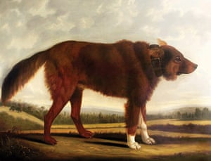 Byron: Lyon, the Wolf Dog by Clifton Tomson (1808)