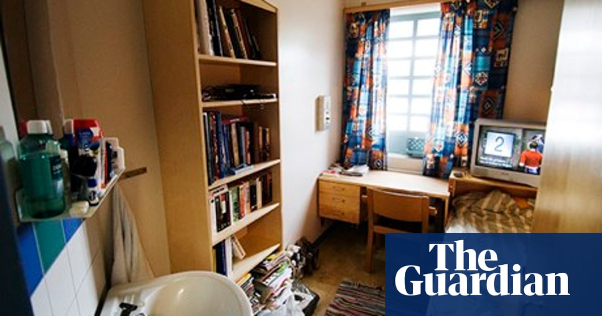 Why Is Sweden Closing Its Prisons Prisons And Probation The Guardian