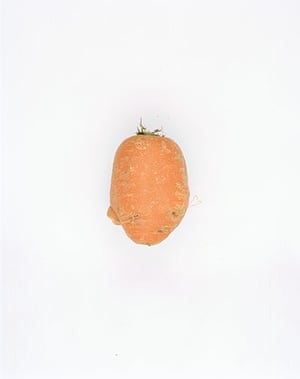 Big Picture - Carrots: orange carrot on white background