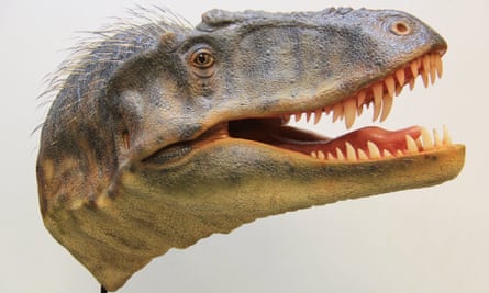 tyrannosaur head