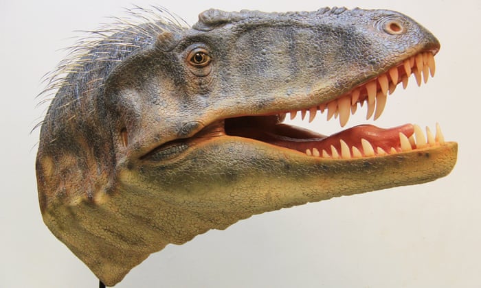 Lythronax Tooth True Lythronax Facts : r/JurassicWorldAlive