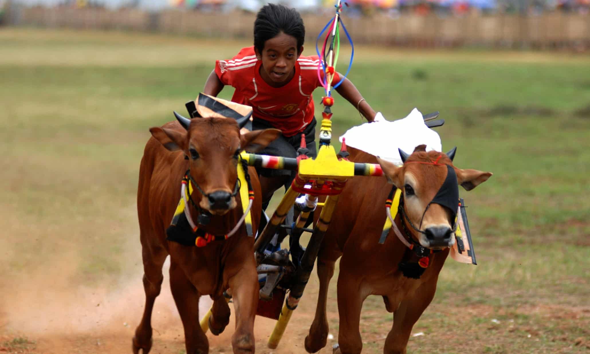 10 best photographs of the day