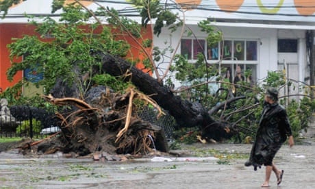 A man walks past a tree uprooted by strong winds brought by super Typhoon Haiyan that hit Cebu city, central Philippines.