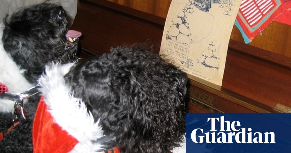 Christmas pets: share your pictures and videos | Life and style | The