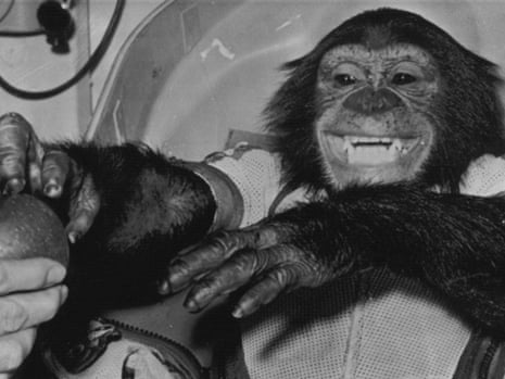 Ham the chimp following his space flight