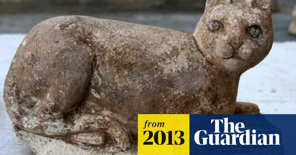 Ancient Chinese Cat Bones Shake Up Domestication Theory Science