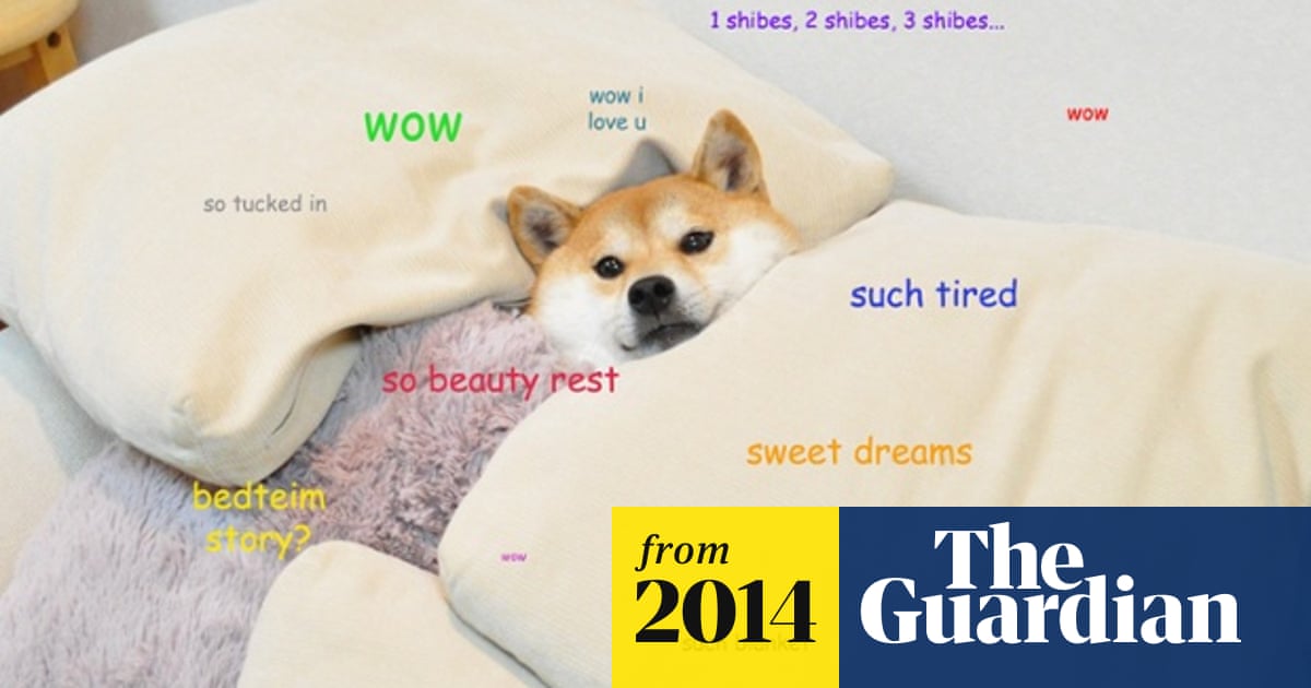 Student Uses University Computers To Mine Dogecoin Bitcoin The Guardian