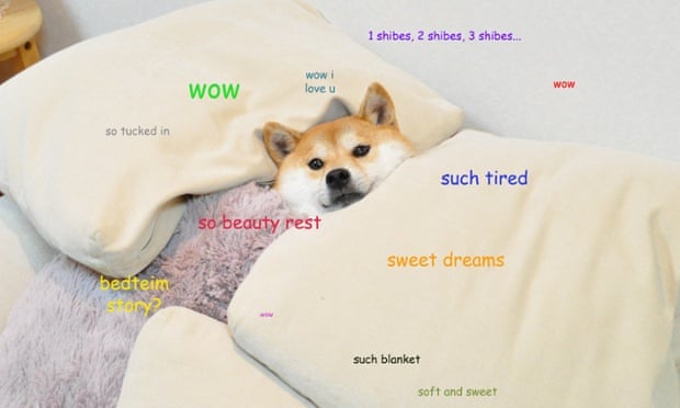 25 Best Ha Ha Business Memes A Href Memes When I Memes People