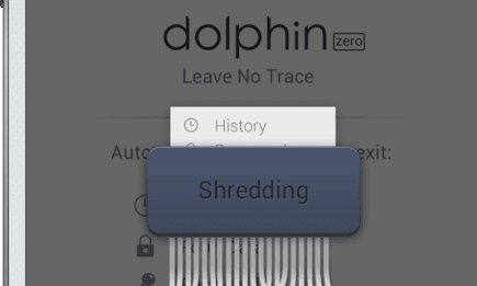 Dolphin Zero deletes your history whenever you quit browsing.