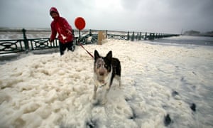 A lone dog walker struggles to get through the sea foam as waves batter the seafront in Hove, West Sussex.