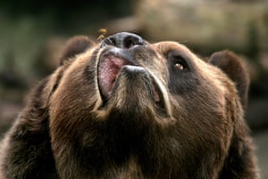 Featured image of post Hilarious Images Of Animals / 8 hilarious/terrifying images of animals eating strawberries.