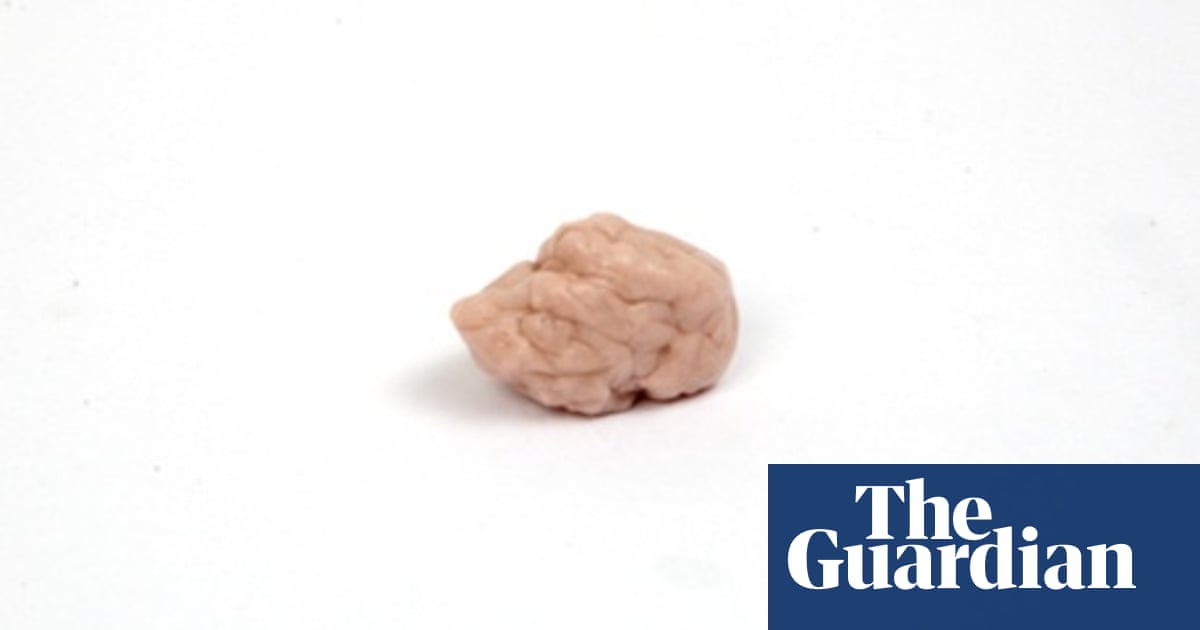 Does Chewing Gum Make You Fat And 5 Other Theories Health The Guardian