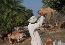 A man winnows rice in Satgharwa village