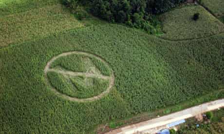 Monsanto crop protest