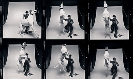 The contact sheet for the Diamond Dogs album cover shoot
