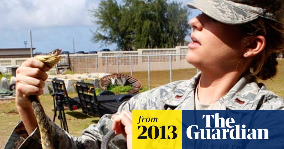 Us Plan To Control Guam S Snake Population With Toxic Mice Angers