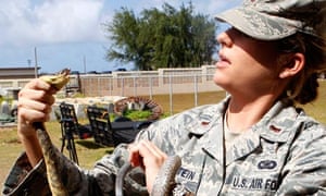 Us Plan To Control Guam S Snake Population With Toxic Mice Angers