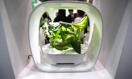 This is not just any vegetable...this is a vegetable growing in a hydroponic culture unit with light-emitting diode (LED) lights on display at the Third Eco House & Eco Building Expo in Tokyo, Japan. Now that's a mouthful.