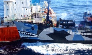 Sea Shepherd Conservation Group Declared Pirates In Us
