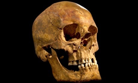 The skull of Richard III. 