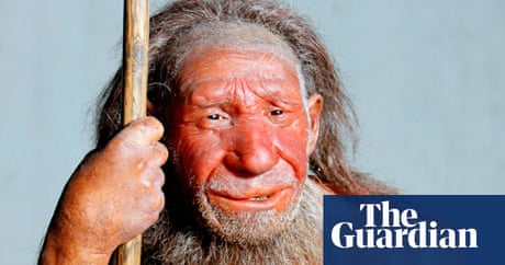 Neanderthals 'unlikely to have interbred with human ancestors'