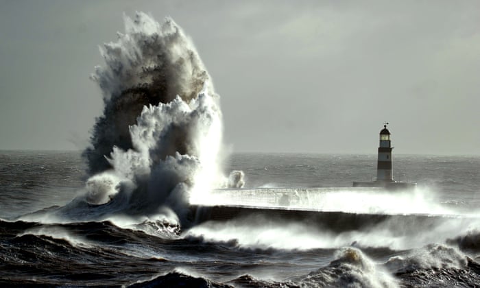 picture desk live the best news