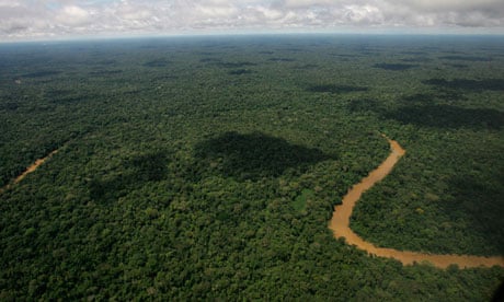 An aerial view of the Yasuni National Park, in Ecuador's northeastern jungle