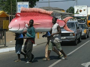 Coffins in Ghana: Carpenters carry a coffin shaped in the form of a fish in Teshie
