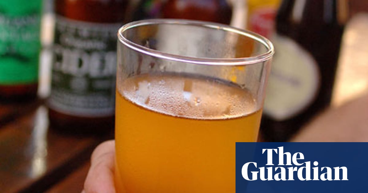 Parliamentary Bars What Are They Really Like House Of Commons The Guardian