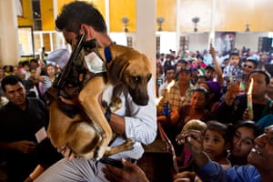 hours nicaragua masaya dog blessing ceremony animal fans puerto rico francisco wave baseball against california san japanese paper classic before