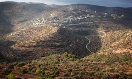 Palestinian olive farms in the hills of the West Bank