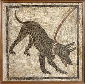 Pompeii at the BM: Dog mosaic