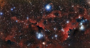 A month in Space: Seagull Nebula