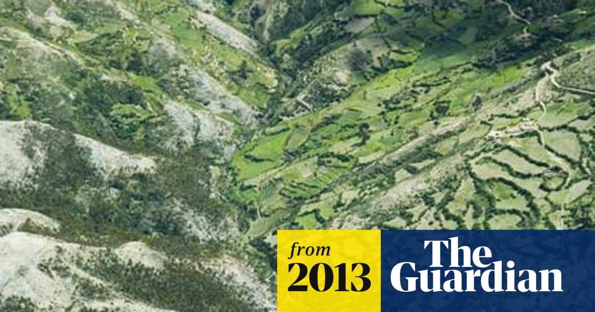 Peru Declares Environmental State Of Emergency In Its Rainforest Environment The Guardian