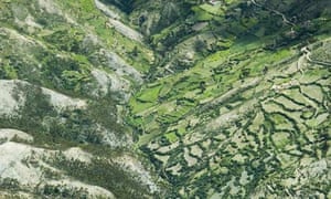 Peru Declares Environmental State Of Emergency In Its Rainforest Environment The Guardian